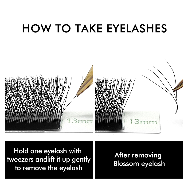 NATUHANA W-Shaped 4D 5D Volume – Eyelash Extension Yy Bewertung und Preis
