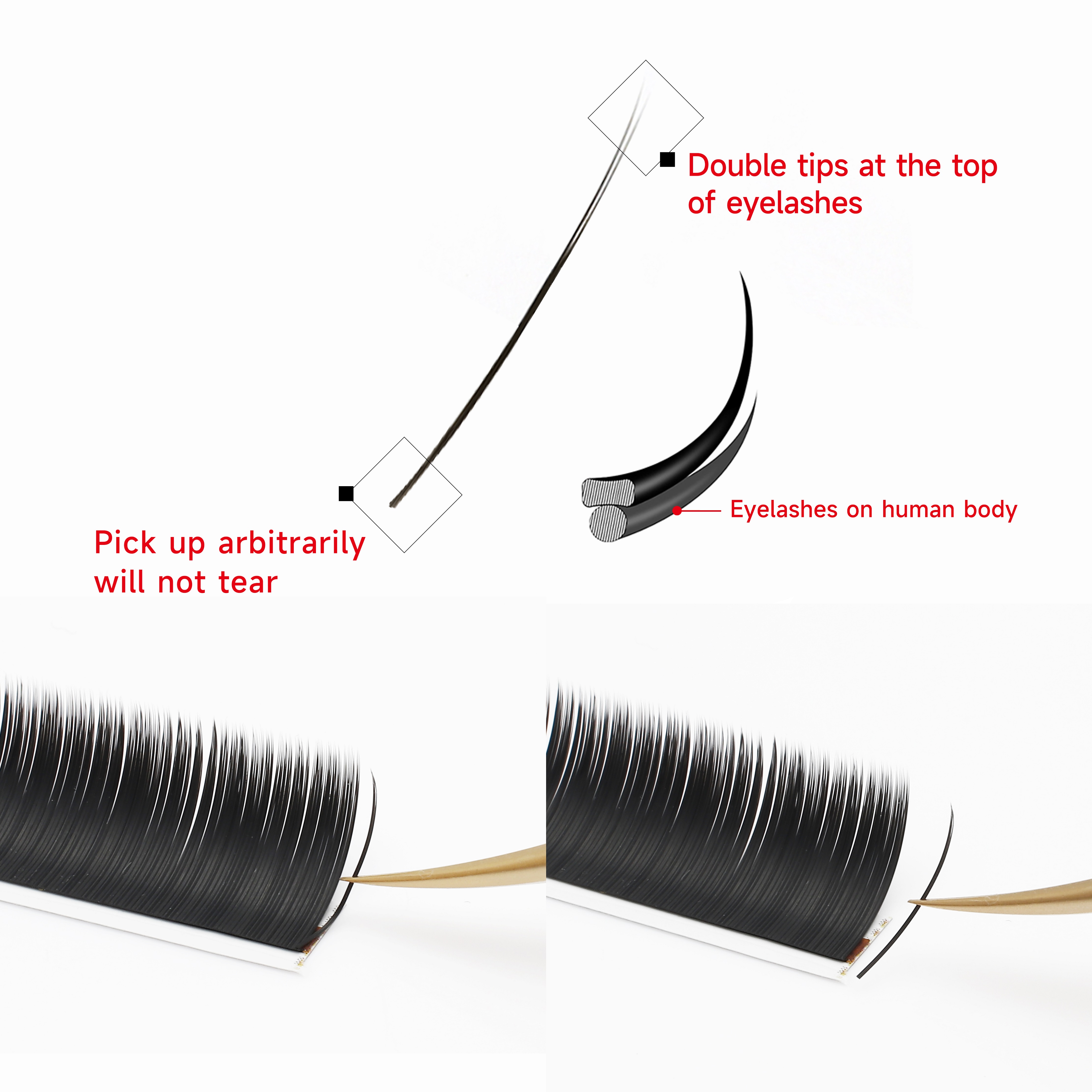 XIUSUZAKI Flat Ellipse Eyelash – Eyelash Extension Yy Bewertung und Preis